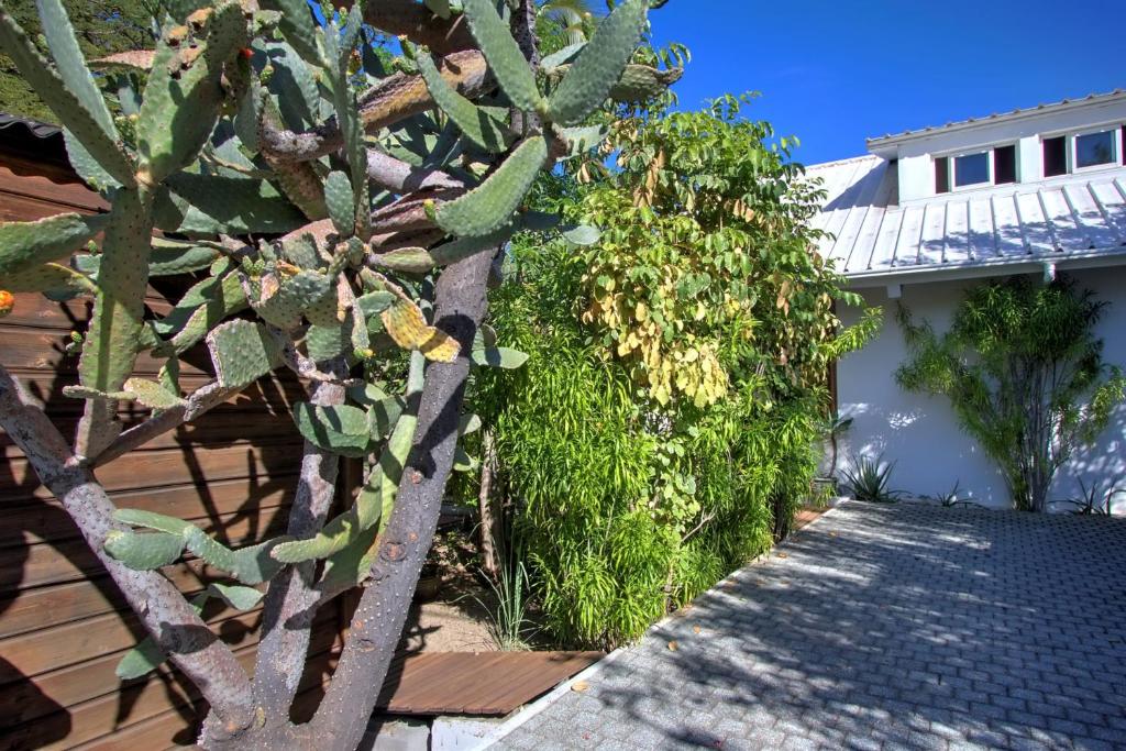 Zahrada ubytování Villa l'Almendro - La Saline les Bains