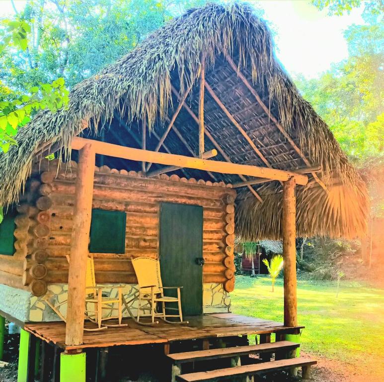 a cabin with chairs and a thatched roof at Room in Cabin - Cabins Sierraverde Huasteca Potosina Green Cabin in Damían Carmona