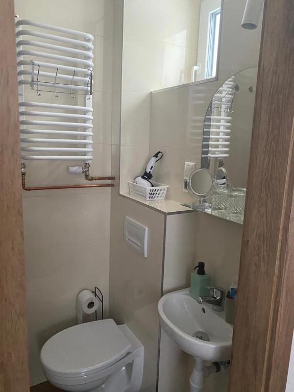 A bathroom at Jedlinka