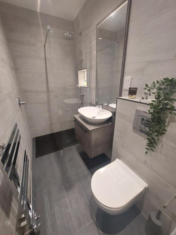 a bathroom with a toilet and a sink and a mirror at Stunning 1-bedroom annexe flat with own entrance near London in Ewell