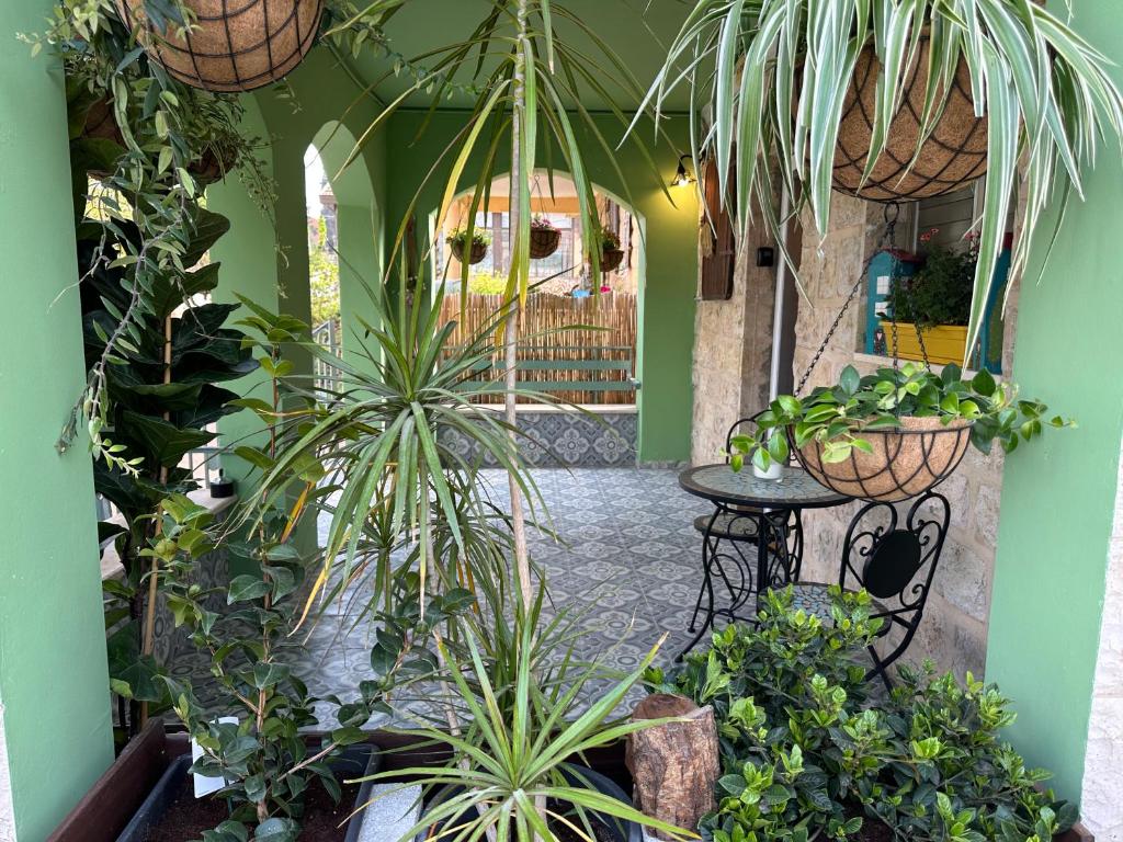 un couloir rempli de nombreuses plantes et d'une table dans l'établissement Casa Camellia metula, à Metulla