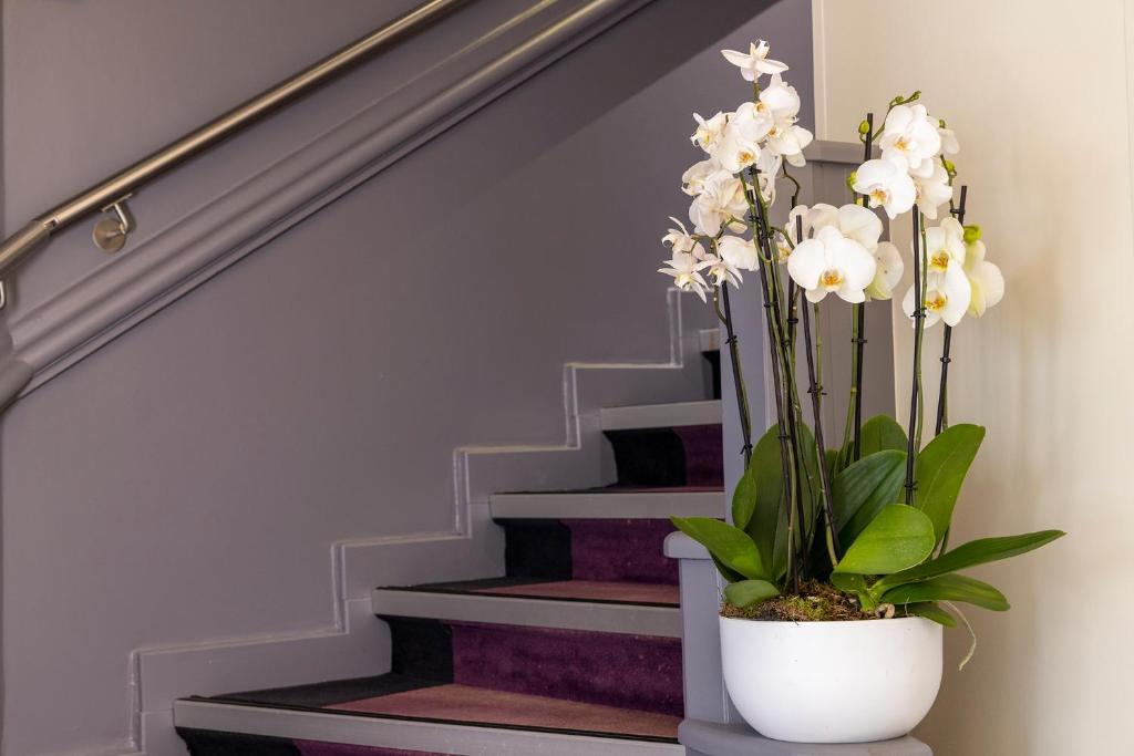 Hotel 64 Nice - Resim 42