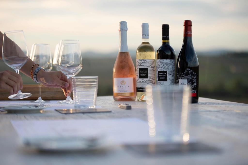 Napoje w obiekcie Tenuta dei Mori-Wine Relais Events