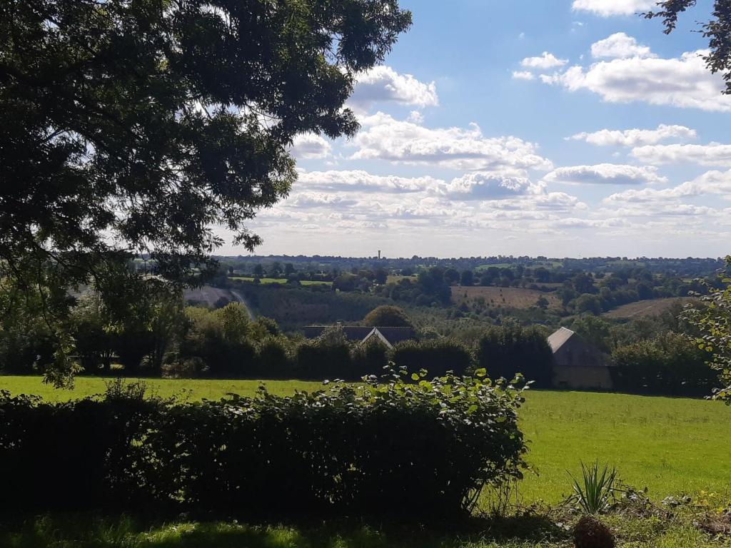 vistas a un campo verde con un árbol en Sous la charmille., en Cerisy-la-Salle