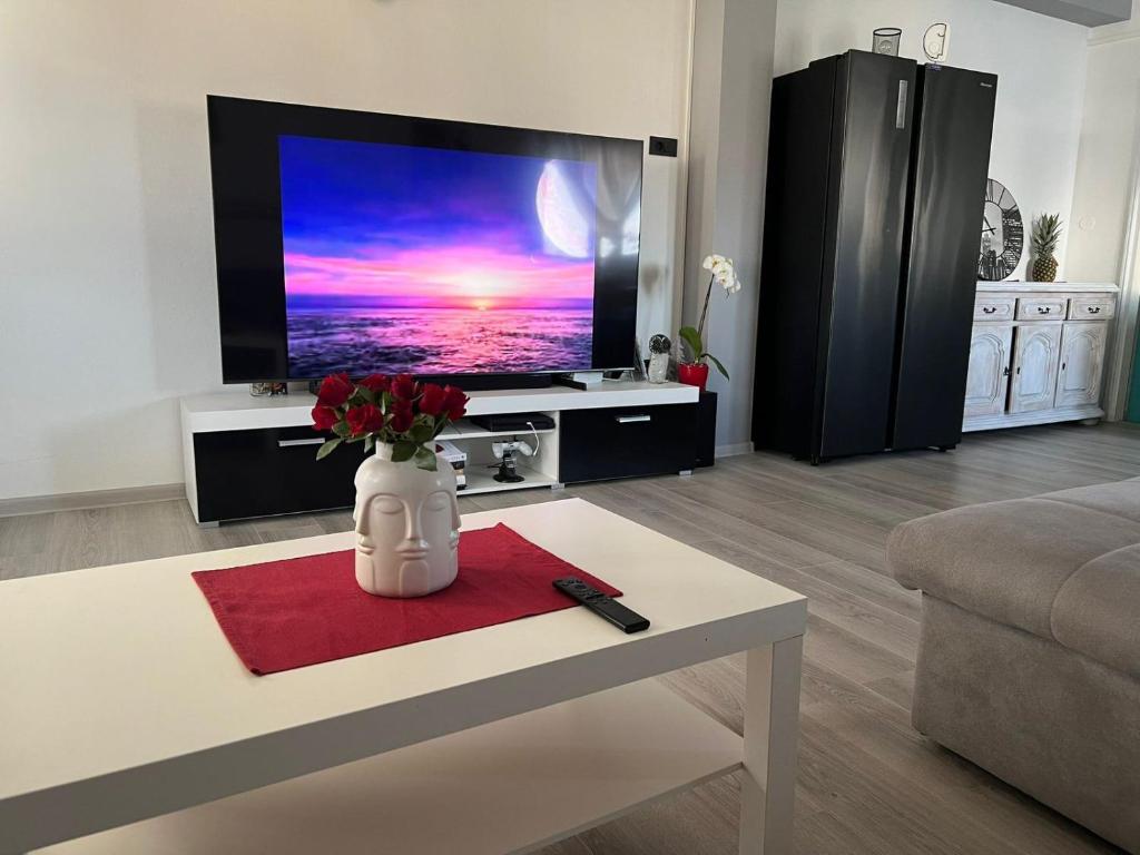 Televízia a/alebo spoločenská miestnosť v ubytovaní Apartments Slavica R
