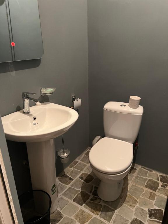 a bathroom with a white toilet and a sink at Lento Kaldani Guesthouse in Adishi