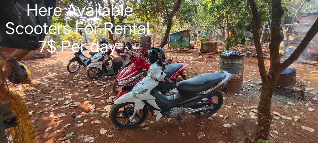 Hosté ubytování Tree Trails Homestay & Offers Jungle Trekk-Scooter For Rental