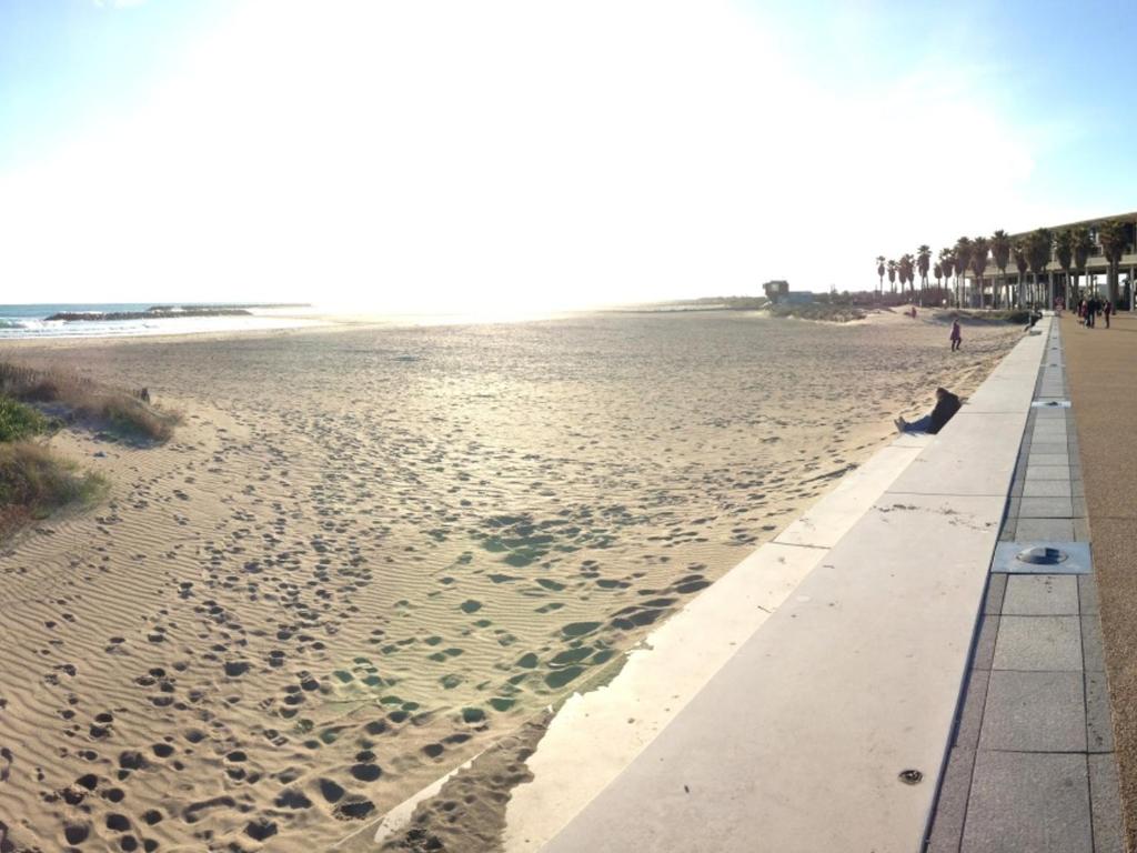 a sandy beach with palm trees and the ocean at Studio Sète, 1 pièce, 4 personnes - FR-1-338-406 in Sète