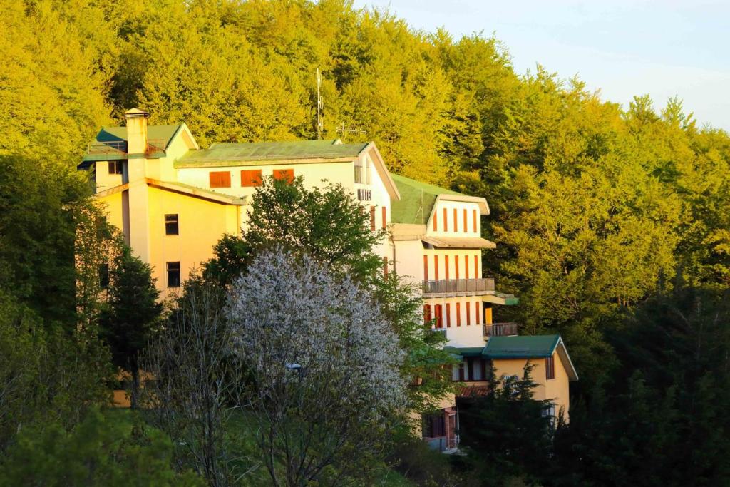 Příroda nedaleko hotelu