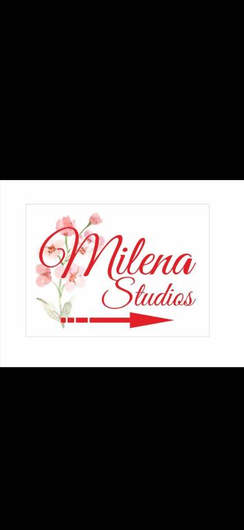 Certifikát, hodnocení, plakát nebo jiný dokument vystavený v ubytování Milena Studios
