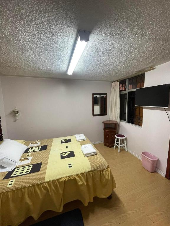 TV a/nebo společenská místnost v ubytování HOTEL El INDIO