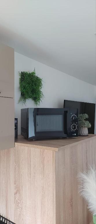 Apartmani Remete - 7