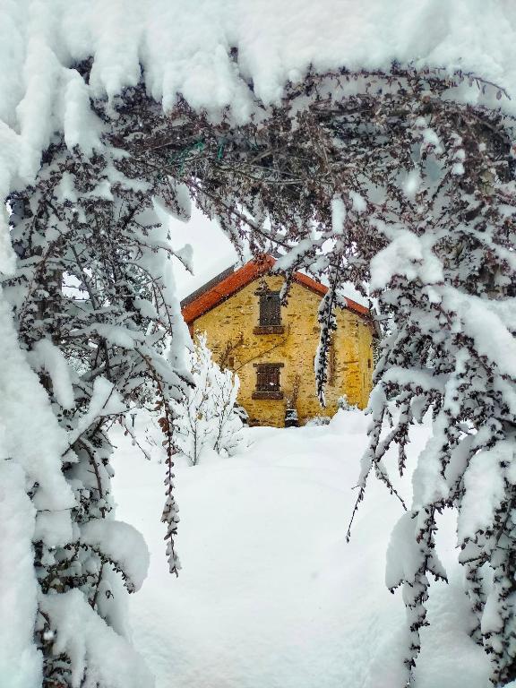 il Bosco v zimě
