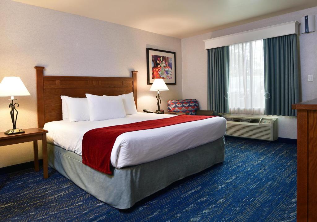 Lamplighter Inn & Suites at SDSU - King Room With Roll-In Shower - Disability Access