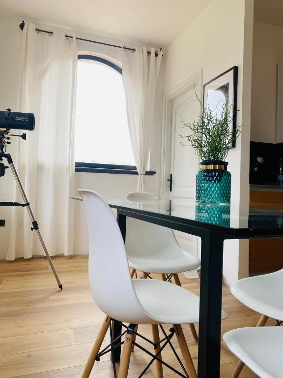 ArtGallery Apartment - Villa immersa nel verde - Superior, Viterbo ...