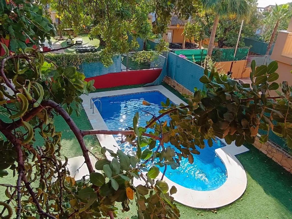 ein Schwimmbad in einem Garten mit einer Pflanze in der Unterkunft Modern villa in Marbella with private pool in Marbella