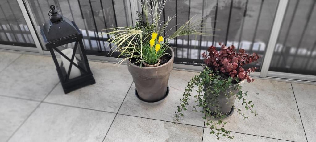 tre piante in vaso sedute su un pavimento accanto a una finestra di Graniitti a Hanko