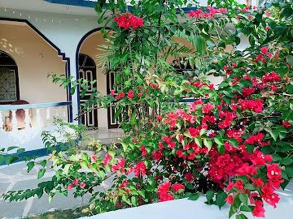 Zahrada ubytování Casa Domingos Guest House