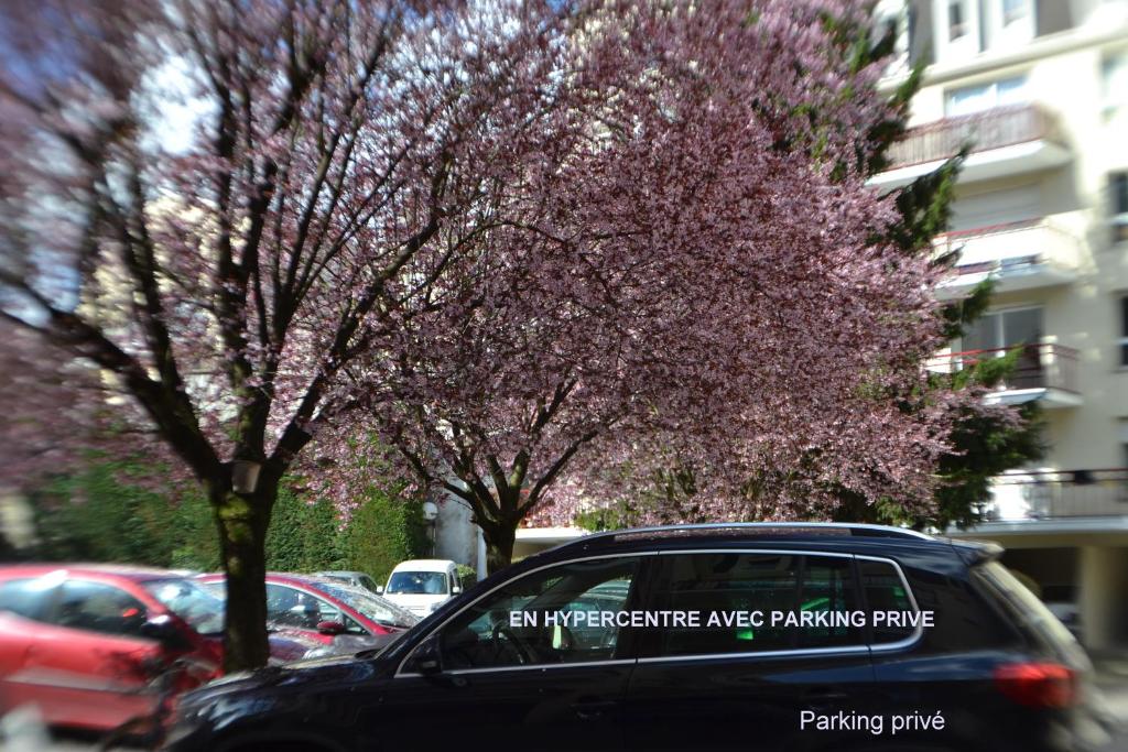 L'Invitation au Voyage - 5