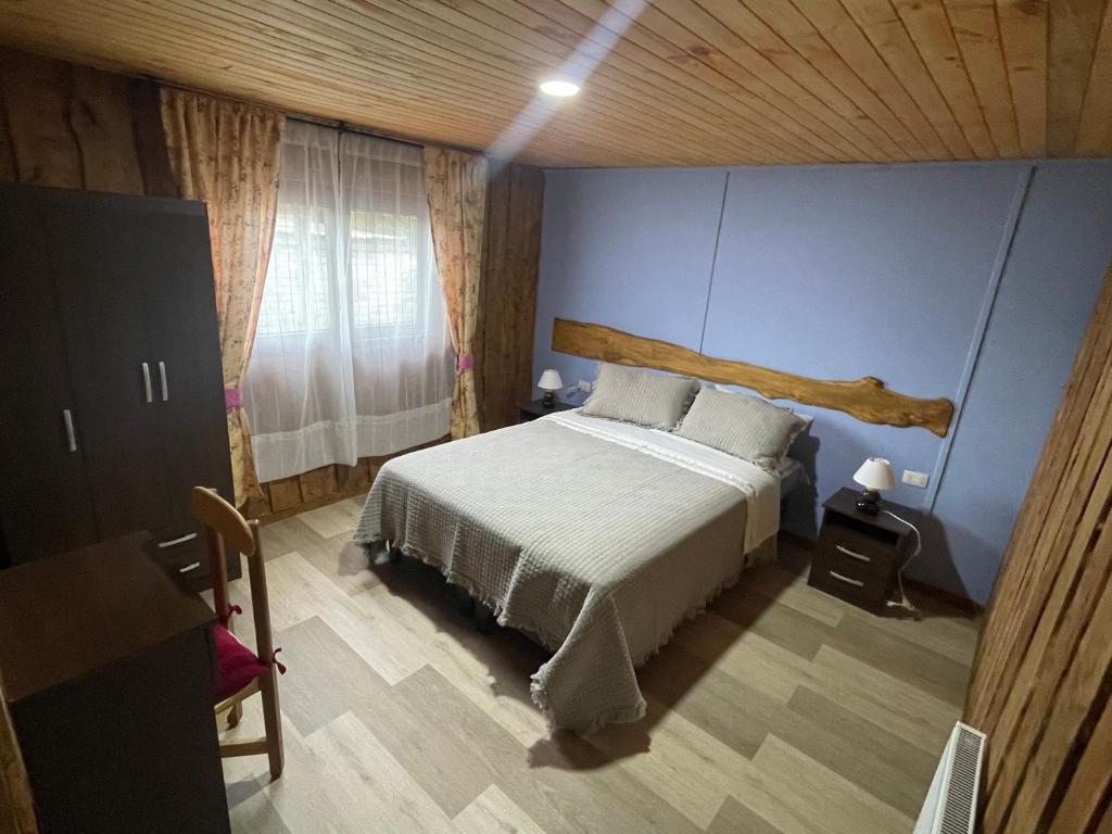 1 dormitorio con cama y pared azul en Hostal Rama Fueguina, en Teodoro Schmidt