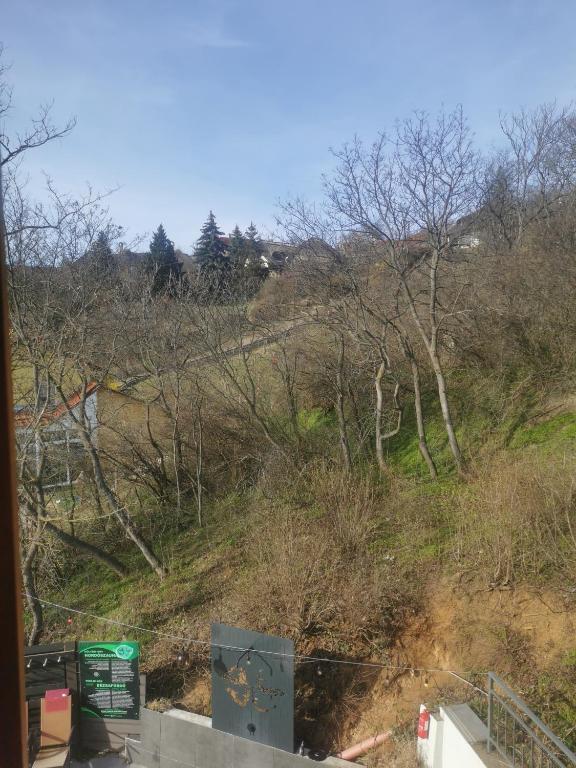 Příroda nedaleko penzionu