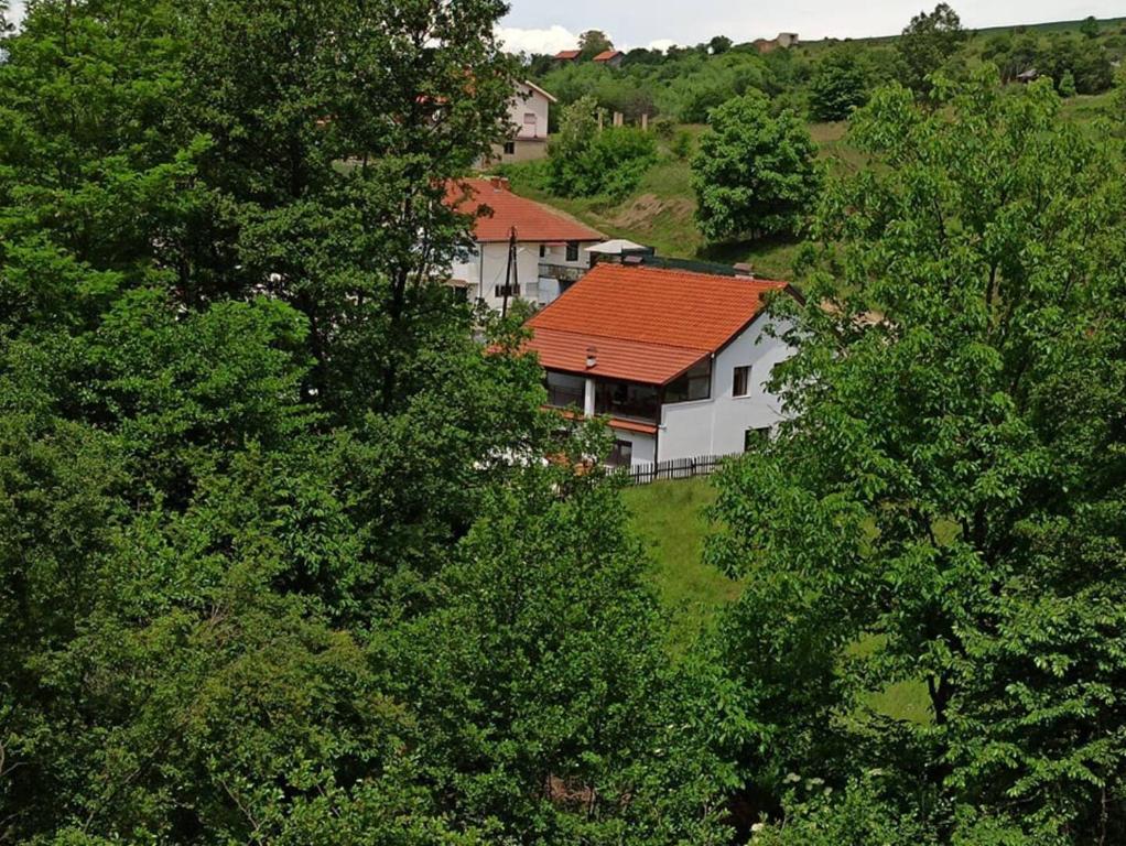 uma casa com um telhado vermelho no meio das árvores em Villa River Pehchevo em Pehčevo