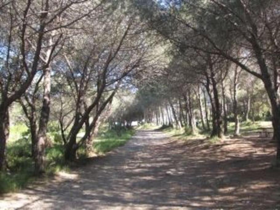 Fotografia z galérie ubytovania Chez Nelly v destinácii La Seyne-sur-Mer