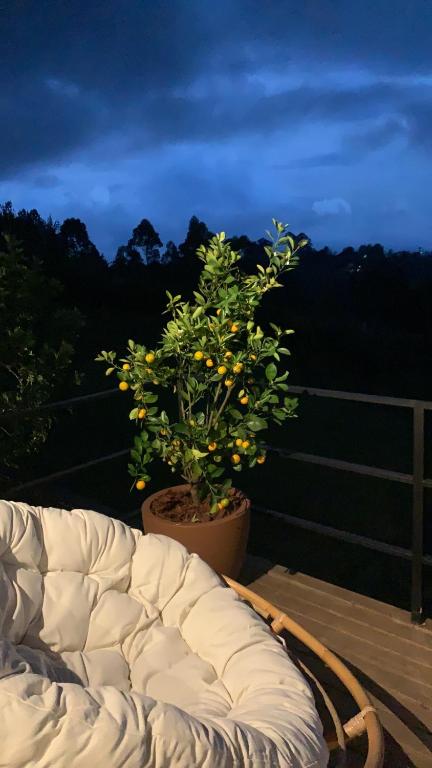 Fotografie z fotogalerie ubytování Cumbres Luxury Glamping v destinaci Guarne