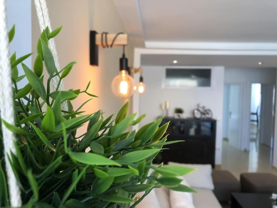a green plant in a living room with a couch at Apartamento amplio y céntrico in Fuengirola