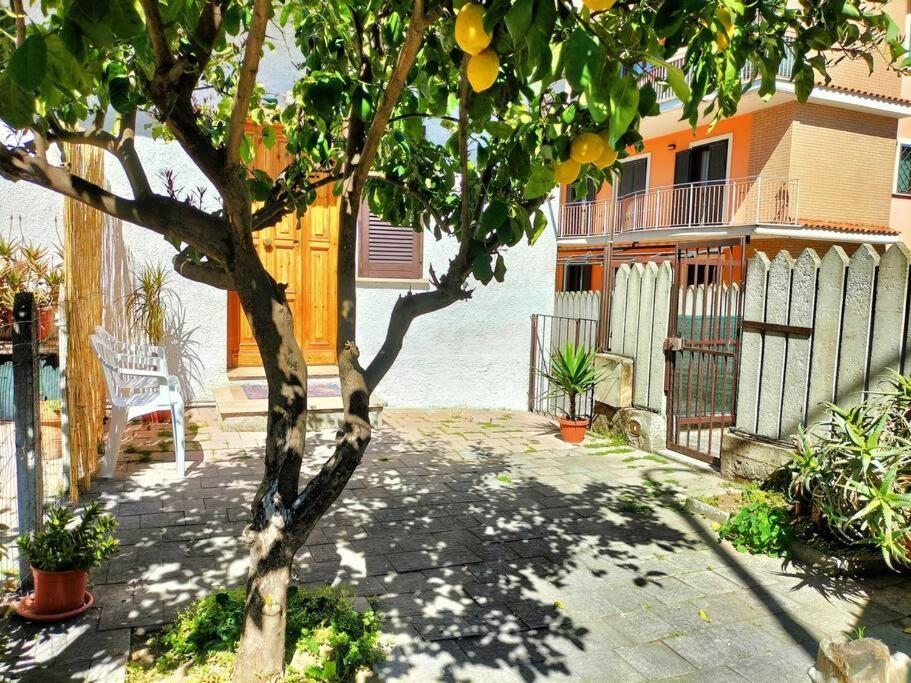un albero di limoni di fronte a una casa con recinzione di Lemon Casa con giardino a Monterotondo