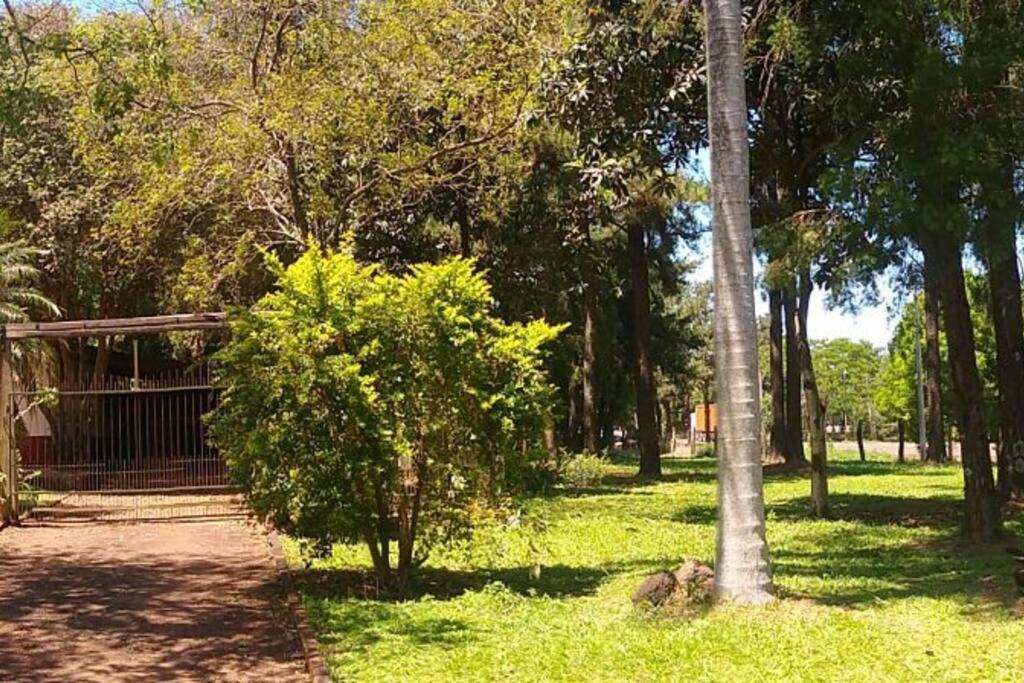 un parc avec un arbre et une clôture dans l'établissement Departamento Luminoso, à Montecarlo