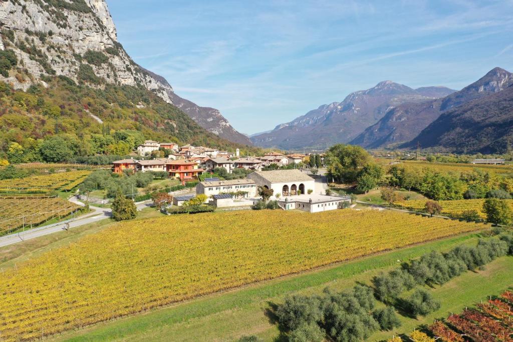 een luchtzicht op een dorp in de bergen bij Agriturismo Antico Fenilon in Brentino Belluno