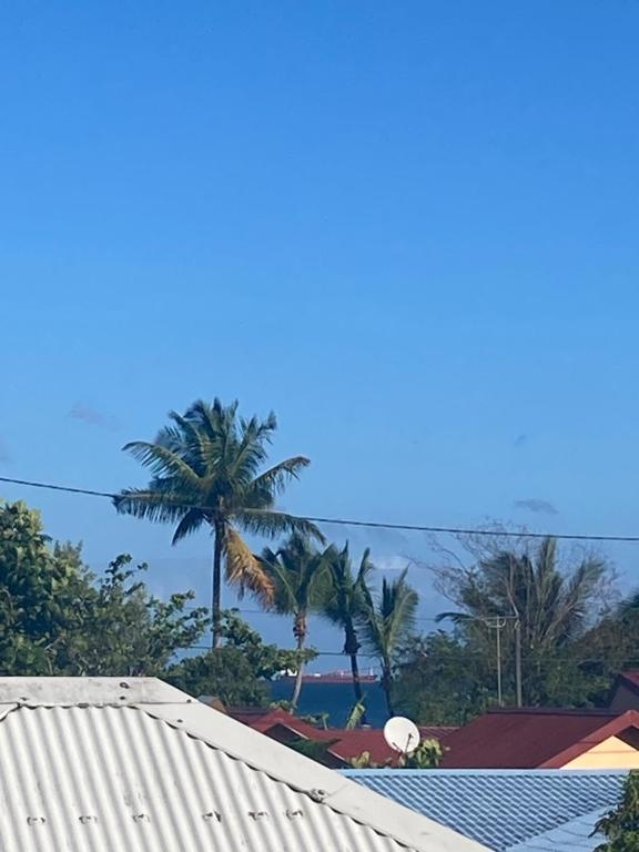 uma vista do telhado de uma casa com palmeiras em Martinique trois ilets face à la mer em Les Trois-Îlets