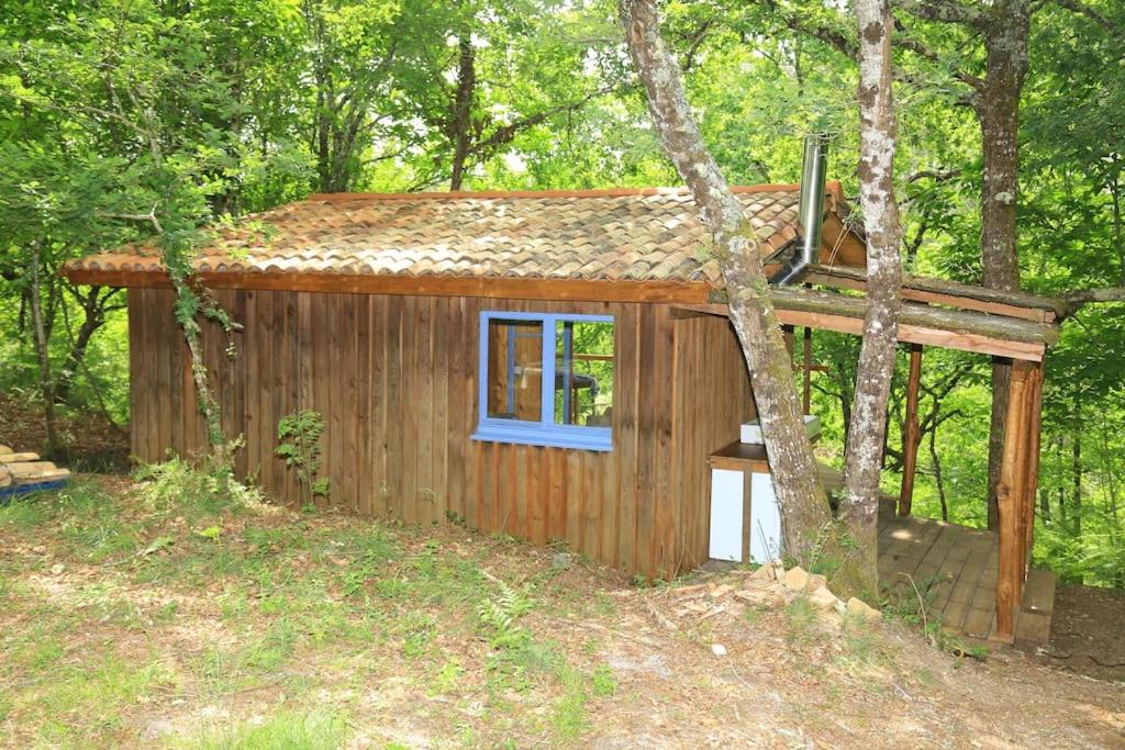 una pequeña cabaña en el bosque con una ventana azul en Cabane au cœur de la forêt des Landes de Gascogne, en Belin-Beliet