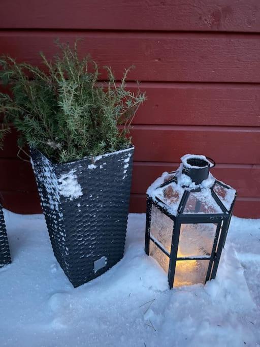 Solbergs, fint attefallshus i Vik, Åre зимой