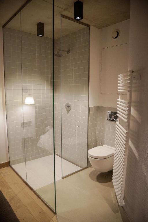 a bathroom with a glass shower with a toilet at La Pipistrelle Hotel in Luxembourg