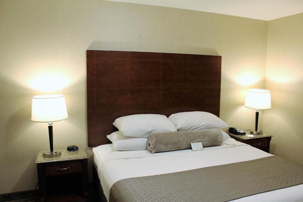 Postel nebo postele na pokoji v ubytování Medallion Inn and Suites
