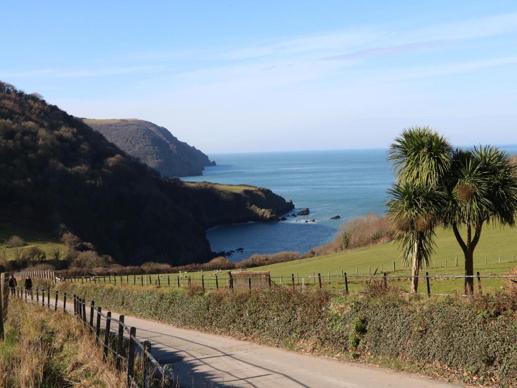 a road with a palm tree next to the ocean at 3 Manleigh Park in Ilfracombe