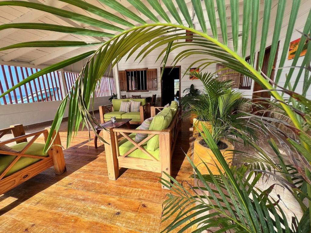 a living room with green furniture and a palm tree at Sunset Bay B&B in Corn Island