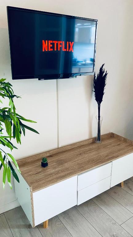 TV a/nebo společenská místnost v ubytování Cosy suite en centre ville
