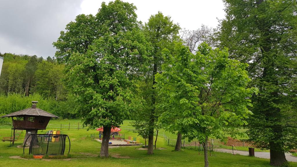 Zahrada ubytování Bungalovy BLUDOVEČEK