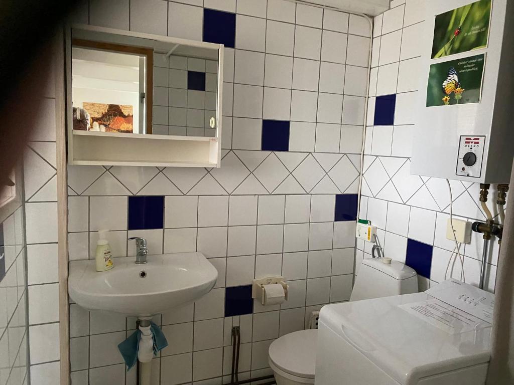 a bathroom with a sink and a toilet and a mirror at Tofta stugan in Tofta