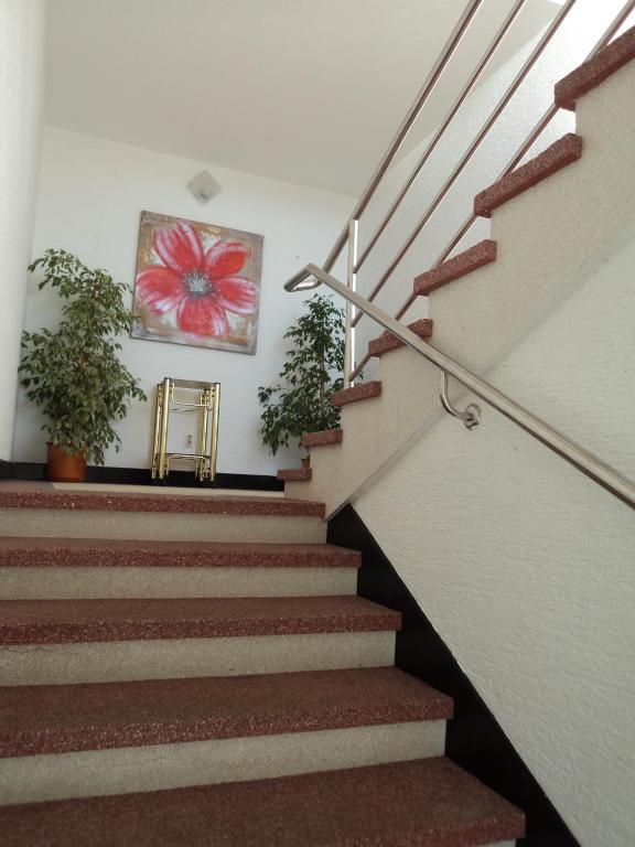 Fotografia z galérie ubytovania Guest House Marko v Seline