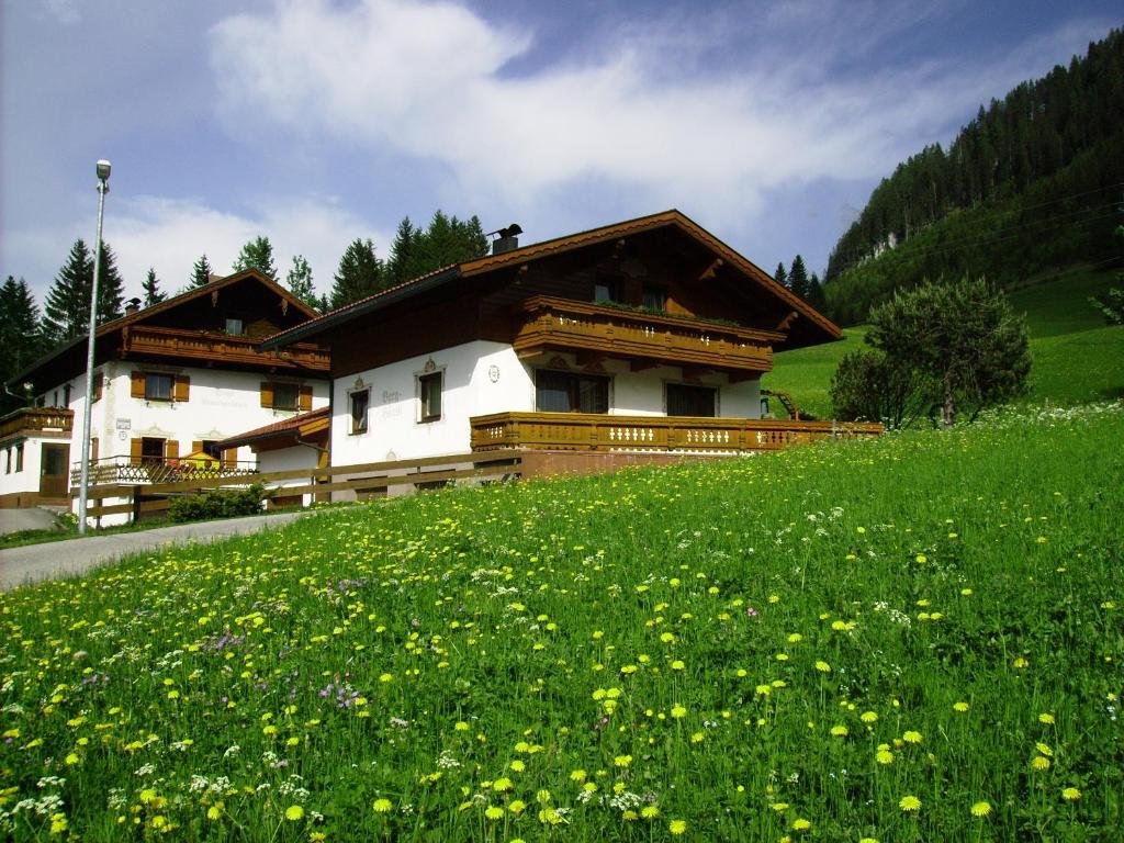 uma casa numa colina com um campo de flores em Haus Steinkarblick und Berghäusl em Berwang