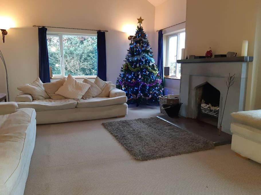 een woonkamer met een kerstboom en een bank bij Countryside Home Snowdon & Snowdonia National Park in Llanrug