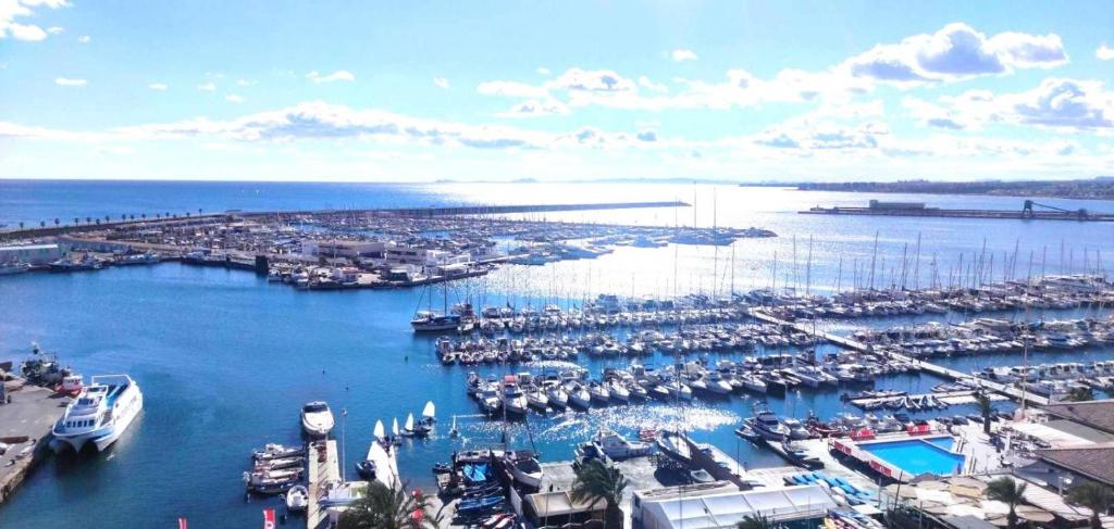 un puerto deportivo con un montón de barcos en el agua en Casa Gilda, en Torrevieja