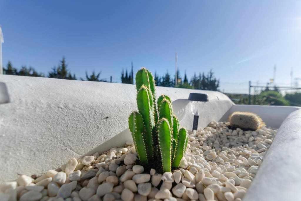 Fotografia z galérie ubytovania Gran terraza con piscina junto a Mijas Golf v destinácii Fuengirola