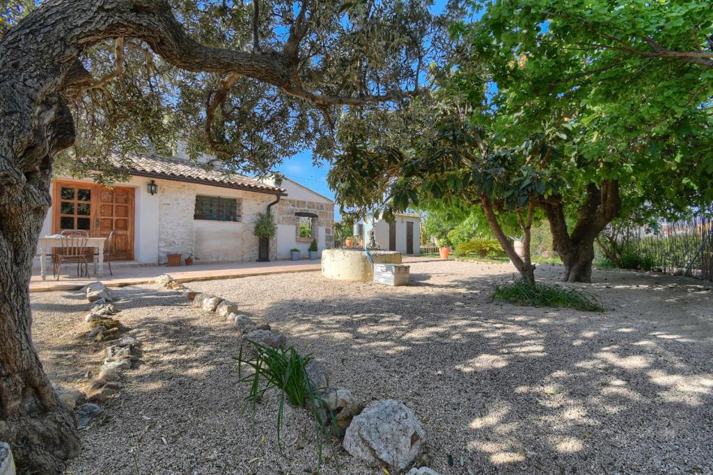Lalau, Ondara – Updated 2023 Prices