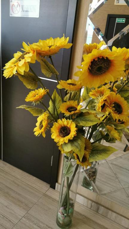 Nevis Fundeni - Resim 11