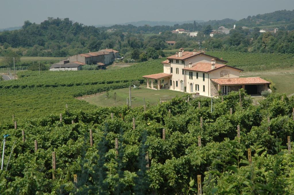a house in the middle of a vineyard at B&B Il Filo' in Valeggio sul Mincio